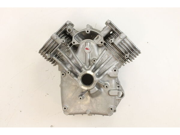 12631009-1-M-Briggs and Stratton-594970-Cylinder assembly
