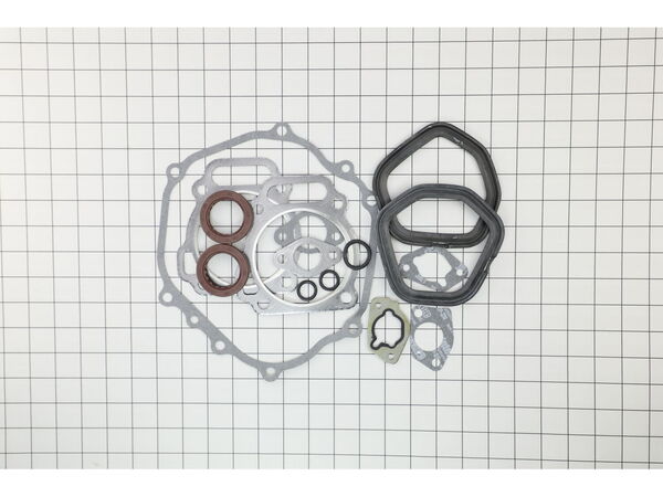 12642064-1-M-Briggs and Stratton-594255-Gasket set-engine