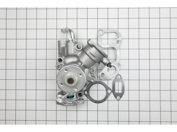12656670-1-M-Briggs and Stratton-825767-Pump-water