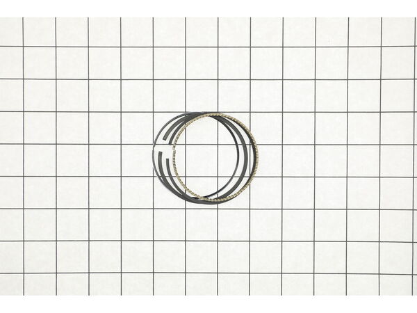 12662896-1-M-Briggs and Stratton-594098-Ring Set
