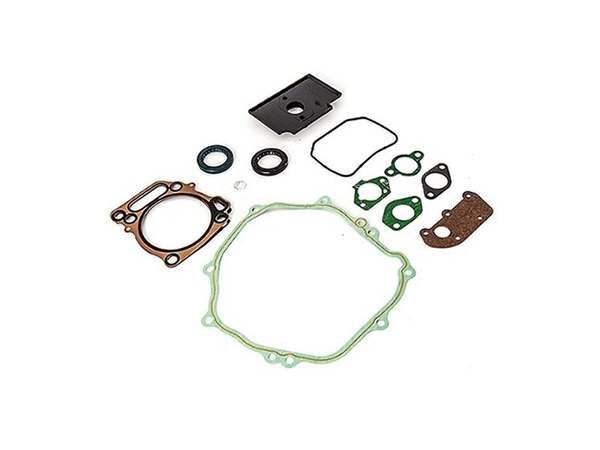 12665623-1-M-MTD-951-12204A-Gasket kit-complet