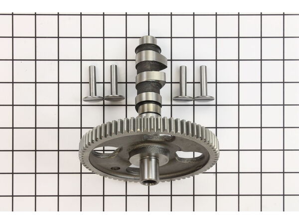 12674035-1-M-Briggs and Stratton-847381-Camshaft