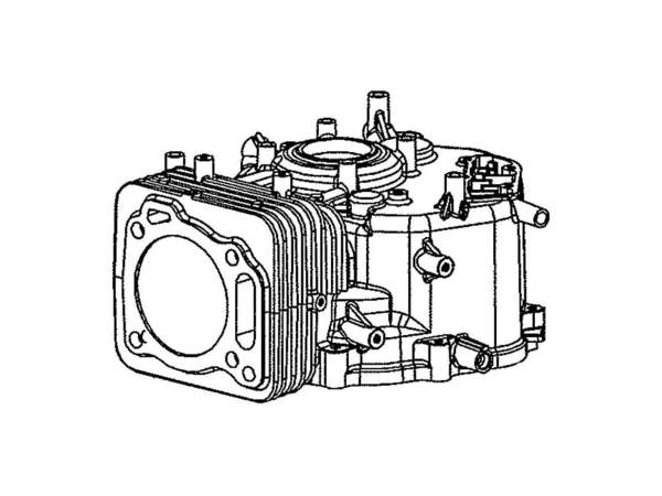 12686351-1-M-MTD-919-05022A-Crankcase