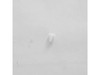 Clip – Part Number: F90804W00AP