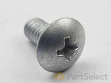 Screw – Part Number: FFV7000011S