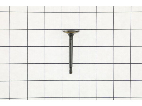 12702336-1-M-Homelite-DJ170F-13002-Valve exhaust