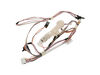 HARNESS ASM DC – Part Number: WD21X24240