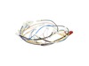 12712333-3-S-Frigidaire-5304520022-HARNESS-ELECTRICAL