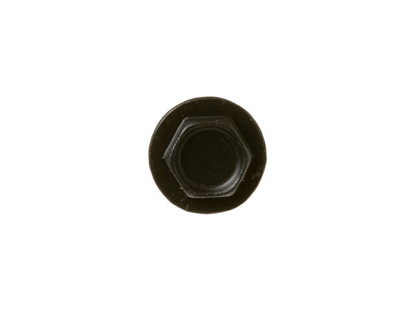 12716381-1-M-GE-WB01X31119-SCREW #8-18
