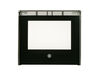 12716529-2-S-GE-WB56X30904-GLASS OVEN DOOR ASM
