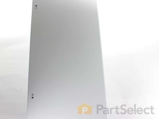 12719455-1-M-Samsung-DA82-02511D-Door Foam Assembly (Right)