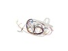 HARNESS,SINGLE – Part Number: EAD62686206