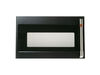 12743068-2-S-GE-WB56X35631-BLACK SLATE DOOR ASM