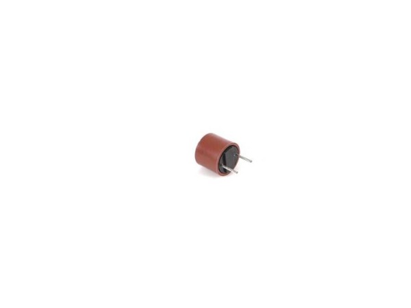 12743197-1-M-GE-WD21X25696-4.1 Amp Control Board Fuse