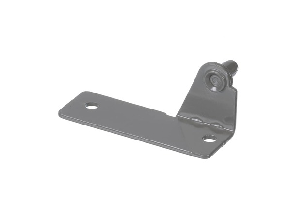 12749919-1-M-LG-AEH73577904-HINGE ASSEMBLY,LOWER