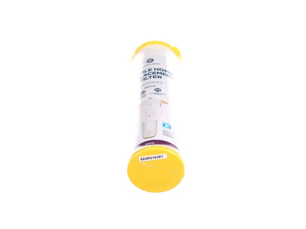 12751845-1-M-GE-FTHTM-Poe Replacement Filter