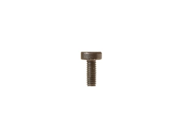 1480664-1-M-GE-WB01X10328        -SCREW TORX L10 BLACK