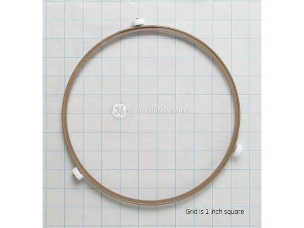 1480805-1-M-GE-WB06X10705        -Rotating Ring