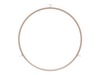 1480805-2-S-GE-WB06X10705        -Rotating Ring