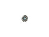 SPECIAL SCREW – Part Number: WP01X10024