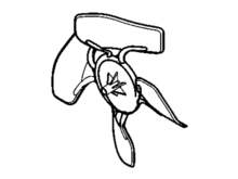 BLADE-COND FAN PLASTIC – Part Number: WR60X10218