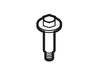 Compressor Mounting Screw – Part Number: 240491503
