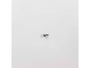 Screw – Part Number: 240555002
