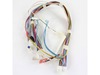 HARNESS-WIRING – Part Number: 241737801