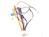 HARNESS – Part Number: 318224833