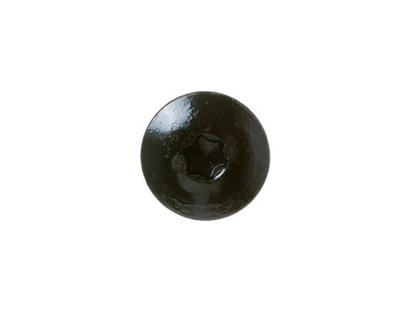 16225882-1-M-GE-WB01X34649-SCREW 10-18 PL TRT20 3/4 S