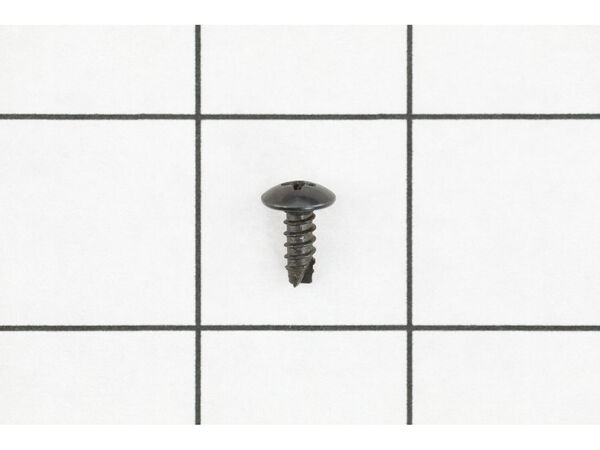 16234579-1-M-Ryobi-079074001047-Tap Screw
