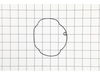 16234767-2-S-Ryobi-079077051013-Cylinder Cap Seal
