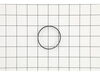 Cylinder Ring – Part Number: 079077051020