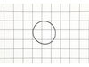 O-Ring (60 X 2, 2060) – Part Number: 079077051049