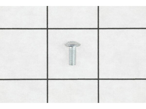 16237153-1-M-Ryobi-089046001060-Screw (M4 X 10 Mm)
