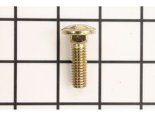 Screw-Carr – Part Number: 119-4162