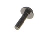 16283399-3-S-Toro-137-3013-Screw-pph, Sems