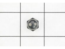 Nut-Acorn – Part Number: 137-4808