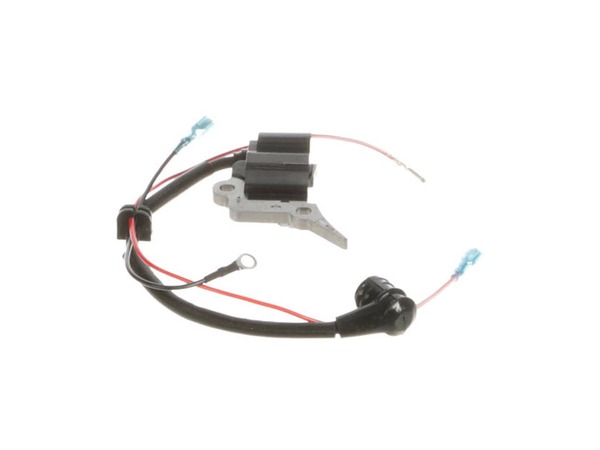 16324589-1-M-Ryobi-309266003-Ignition Assembly