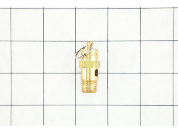 16325154-1-M-Ridgid-311360001-Safety Valve