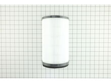 Filter Assembly – Part Number: 313052002