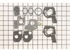 Carburetor Overhaul Kit – Part Number: 495606
