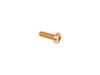 Screw Itxpanm – Part Number: 576213801