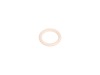 O-Ring – Part Number: 580445101