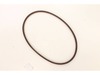 Drive Belt – Part Number: 585829902