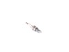 Spark Plug – Part Number: 590844201