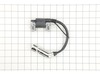 Coil – Part Number: 593109901