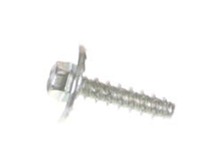 Screw 10 x 0.750 Bos Thread – Part Number: 596321701