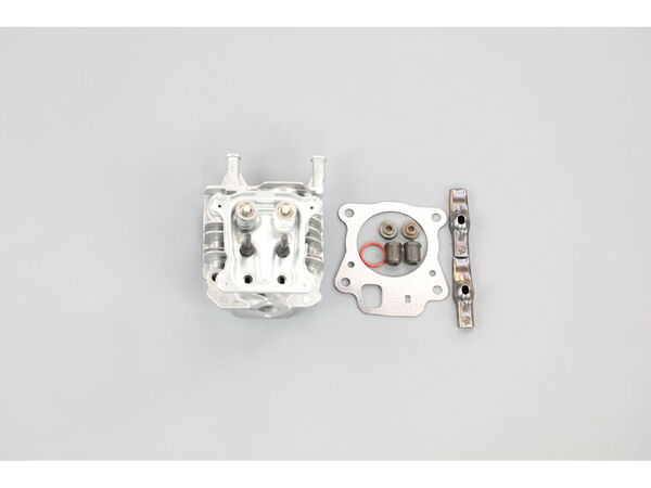 16382812-1-M-Briggs and Stratton-597267-Head, Cylinder