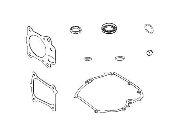 16382855-1-M-Briggs and Stratton-597320-Gasket Set, Engine